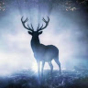 Meet your Posher, Richard